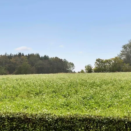 Ae222-marstal-trouslokkevej-1 Semesterbostad Marstal